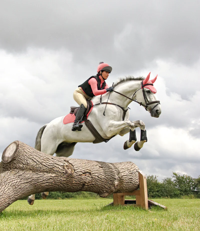 Horse Riding