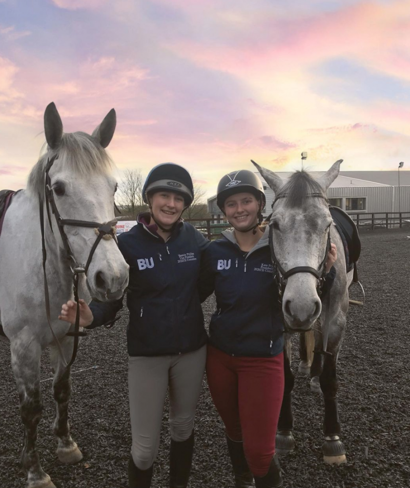Our Stable